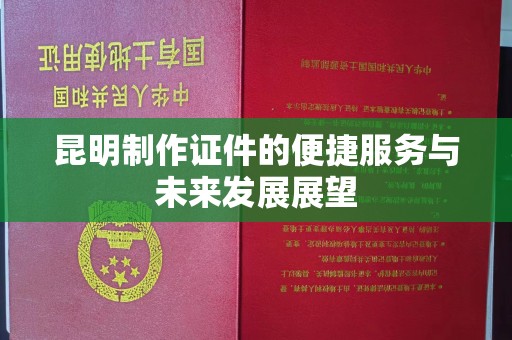 全国昆明制作证件的便捷服务与未来发展展望