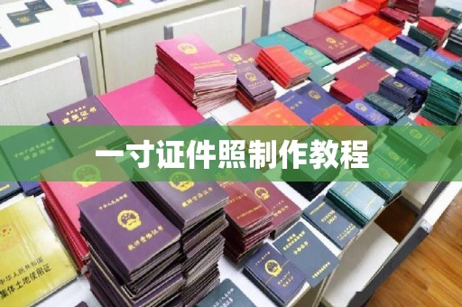 全国一寸证件照制作教程