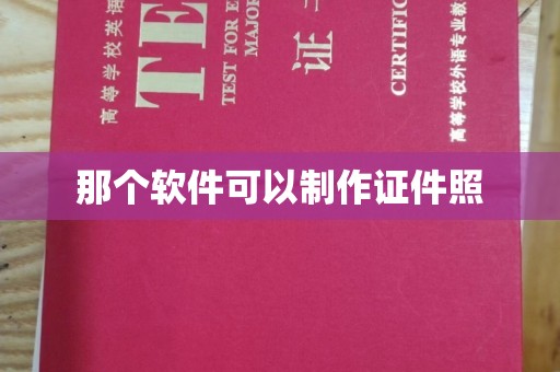 全国那个软件可以制作证件照