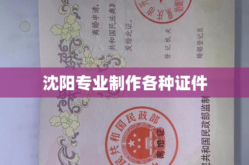 全国沈阳专业制作各种证件